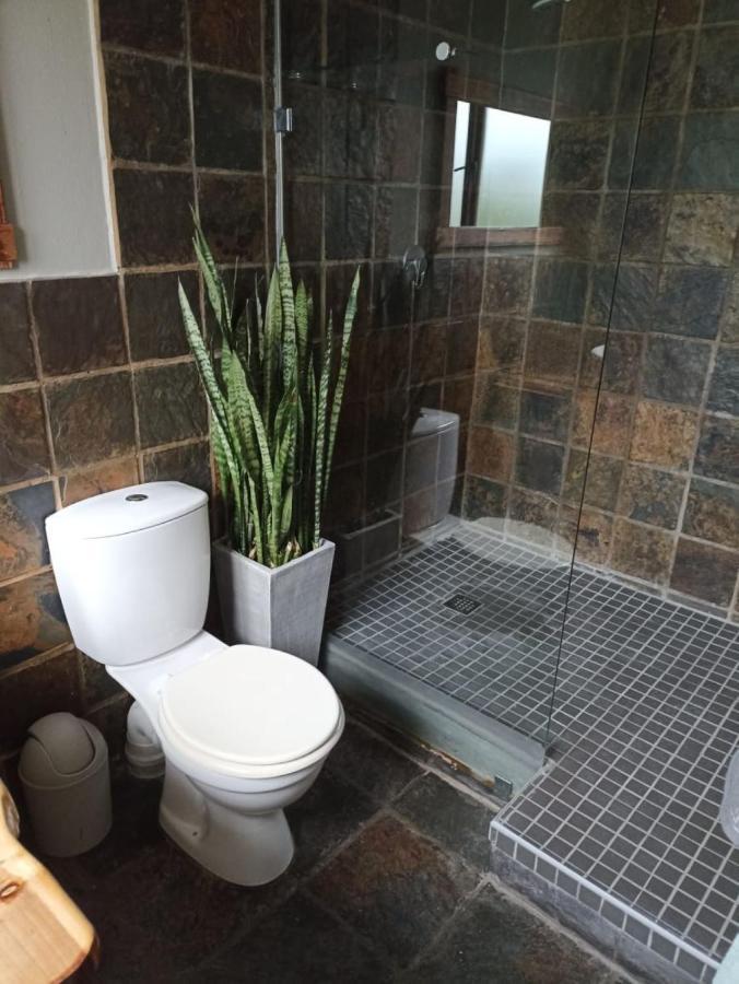 Fijnbos Guesthouse Книсна Екстериор снимка